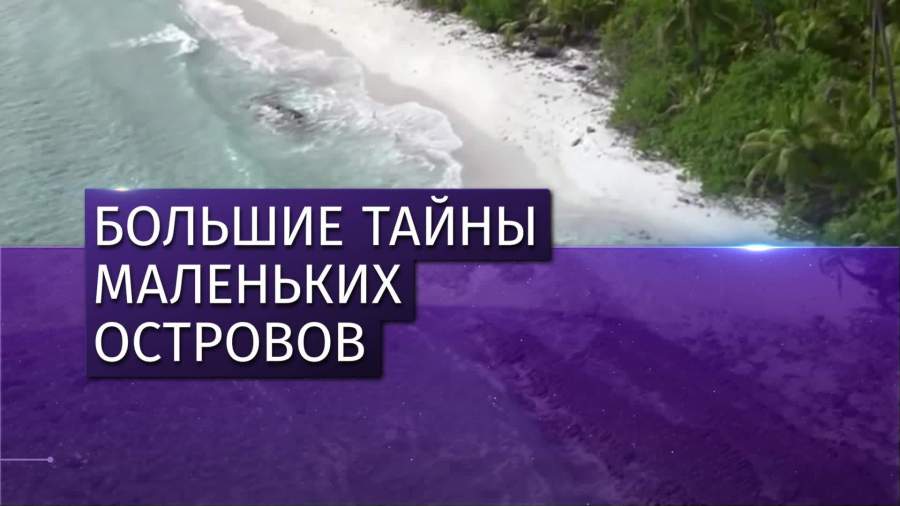 Порно рассказ Остров в океане -читать онлайн